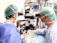 Oncologists Ask Government to  Rescue Medical Sphere of Oncology