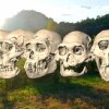 Skull found in Georgia may change human evolution history  Skull found in Georgia may change human evolution history
